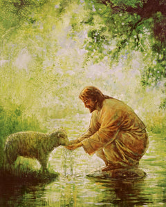 Gentle Shepherd