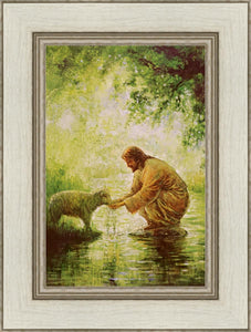 Gentle Shepherd